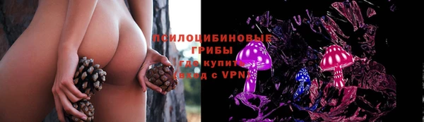 ешки Вязники