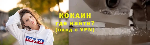 прущие крисы Вяземский