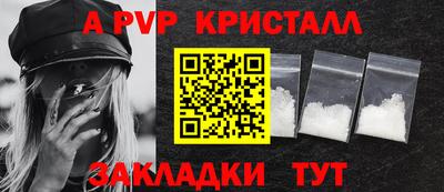 стафф Донской