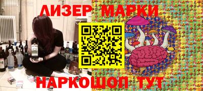 стафф Донской