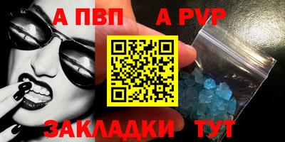 стафф Донской