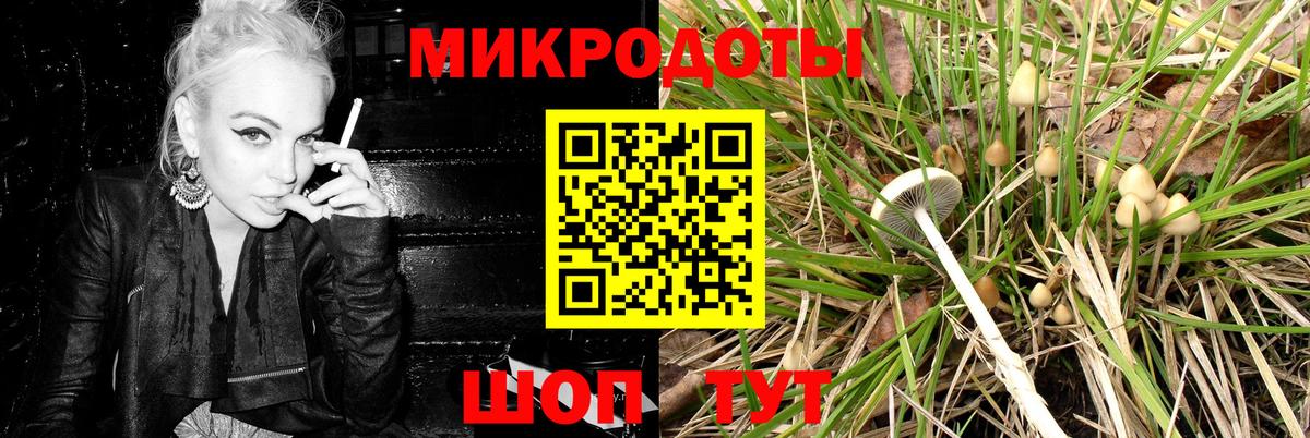 Галлюциногенные грибы Psilocybe Можга