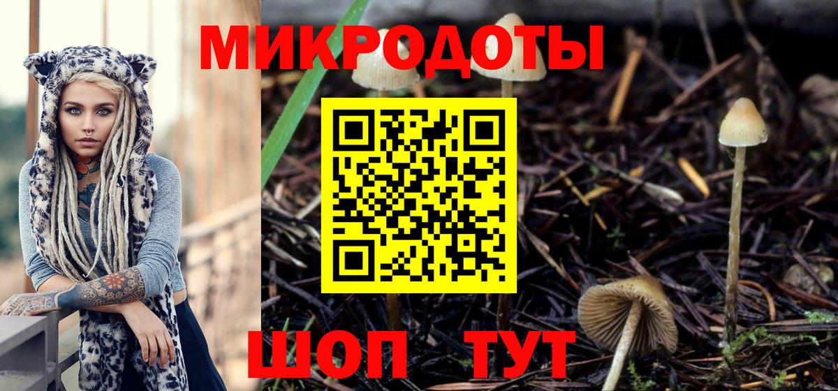 Галлюциногенные грибы Psilocybine cubensis  Можга 